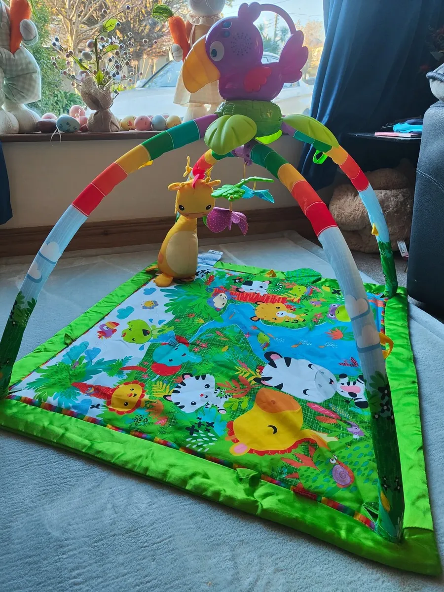 Fisherprice music and lights playgym