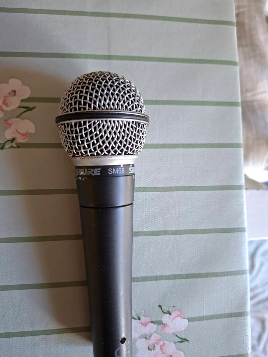 Shure sm58
