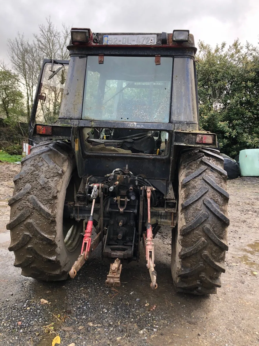 Case international 895 - Image 3