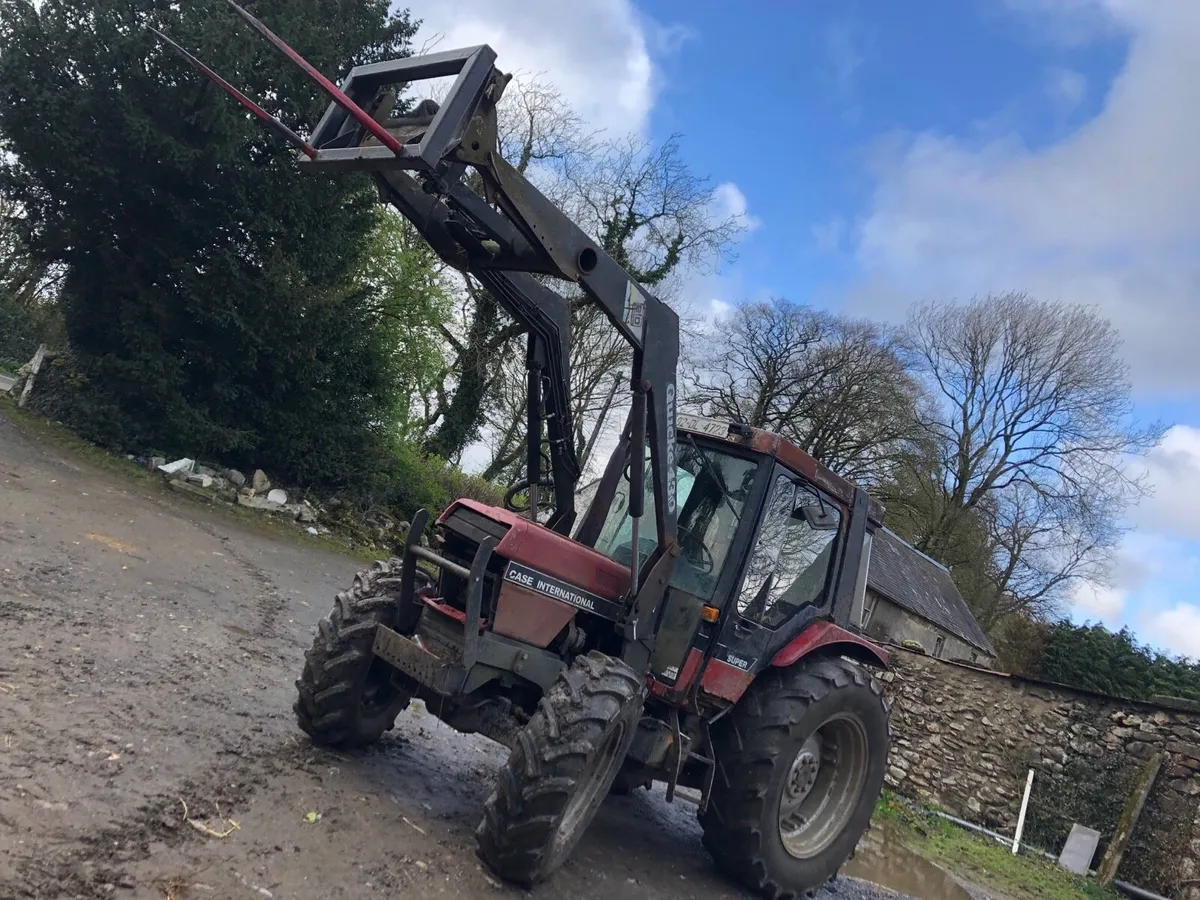 Case international 895 - Image 4