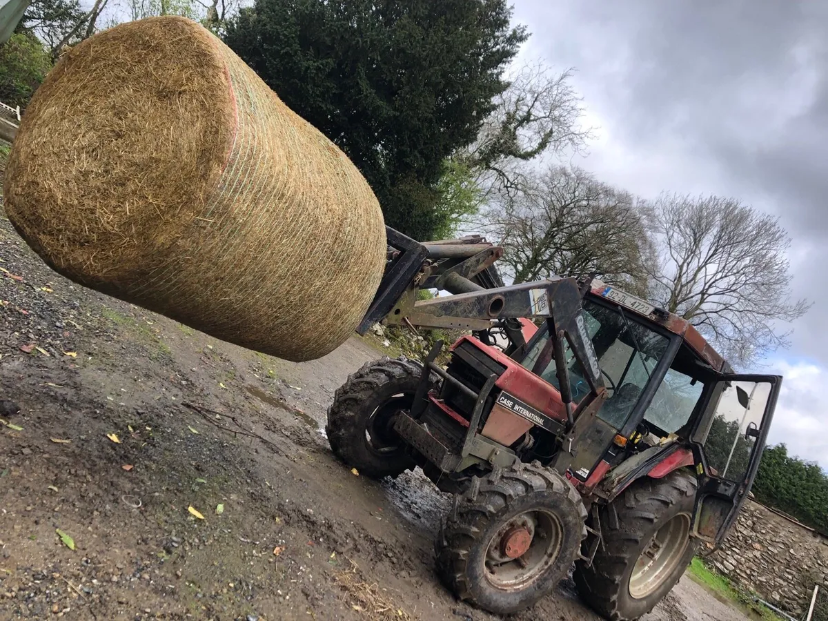 Case international 895 - Image 1