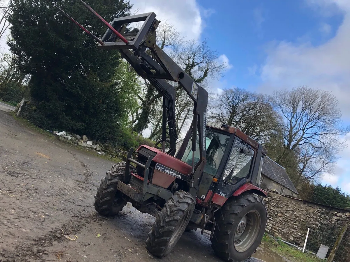 Case international 895 - Image 2