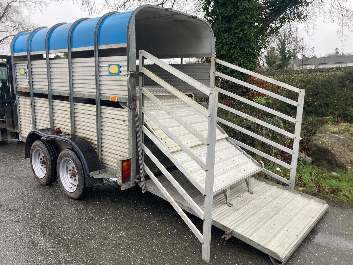 Porter 10x5 Livestock Trailer NO VAT - Image 2
