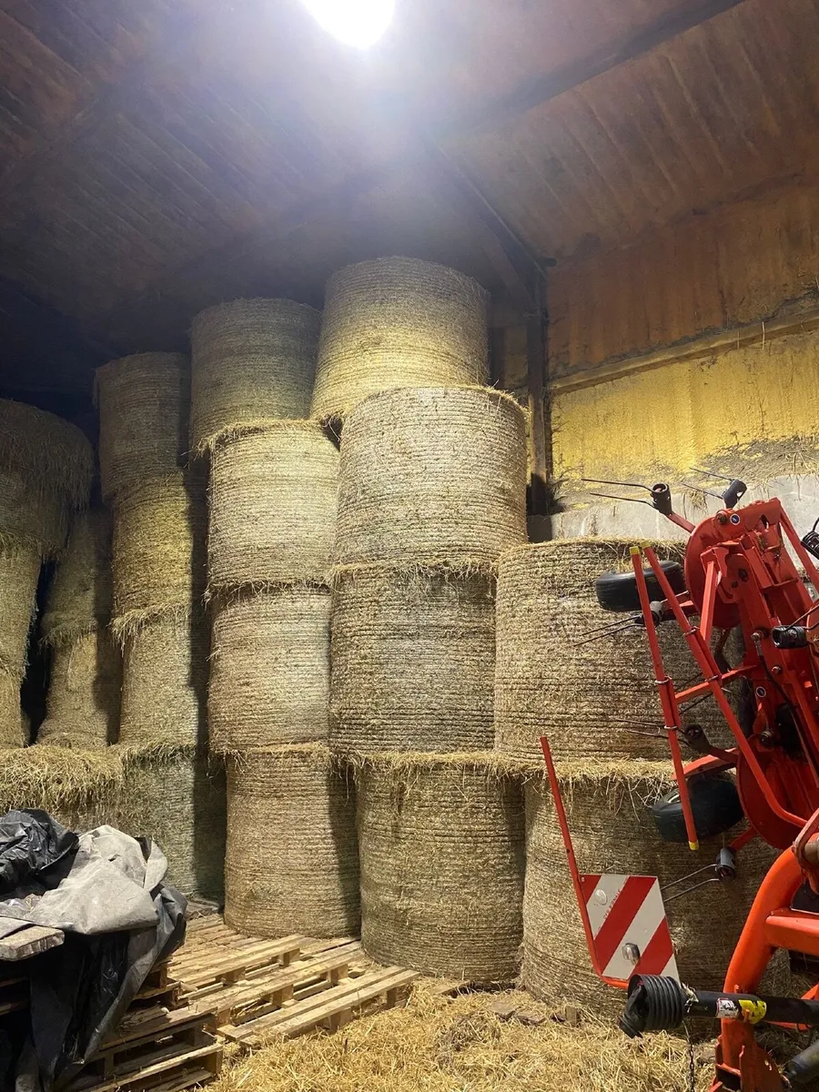 Quality Hay - Image 1