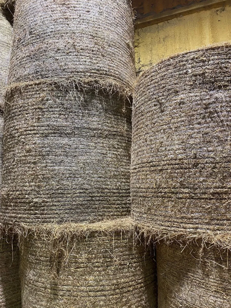 Quality Hay - Image 3