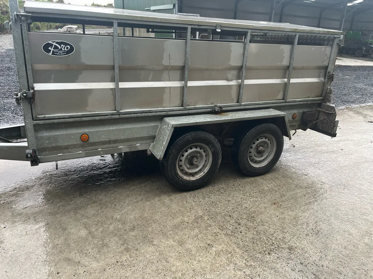 Low roof 10x5 sheep trailer - Image 1