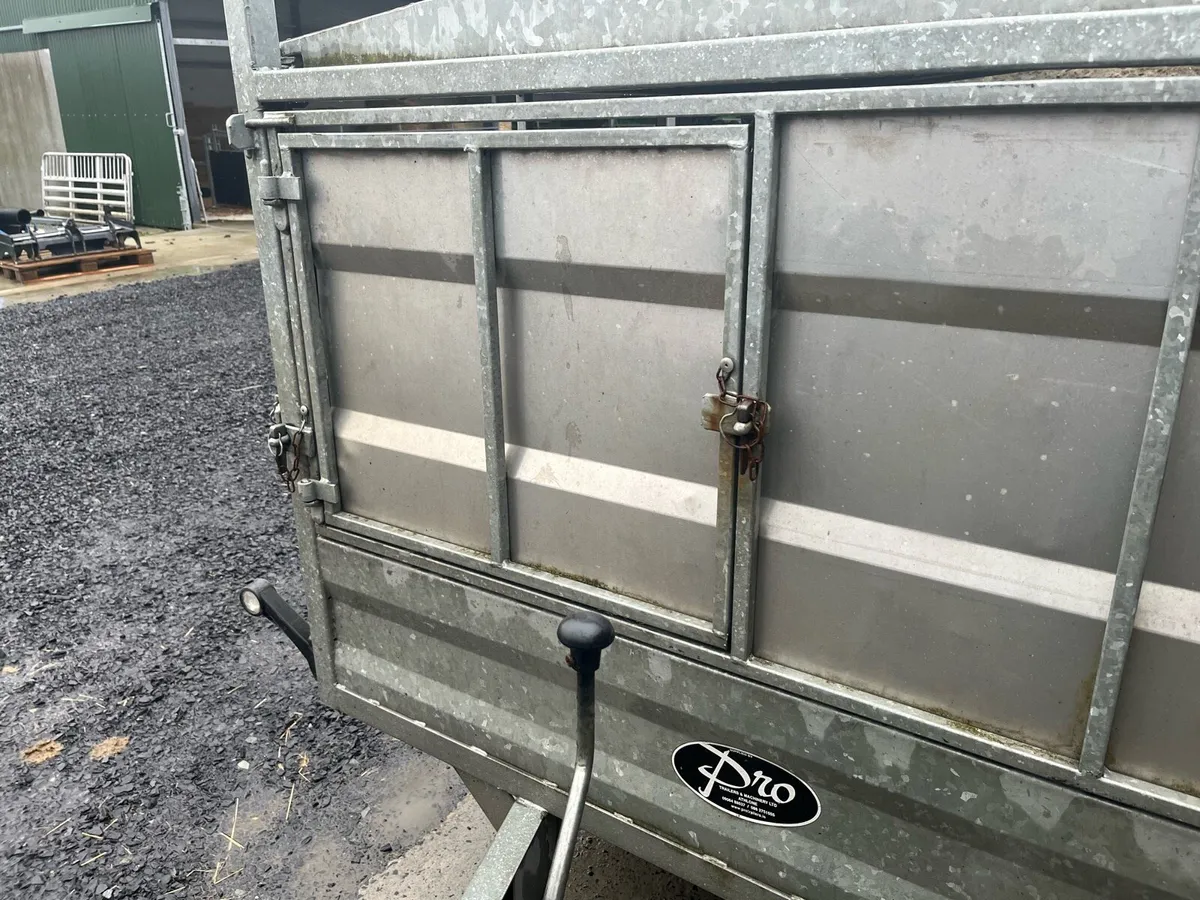 Low roof 10x5 sheep trailer - Image 2