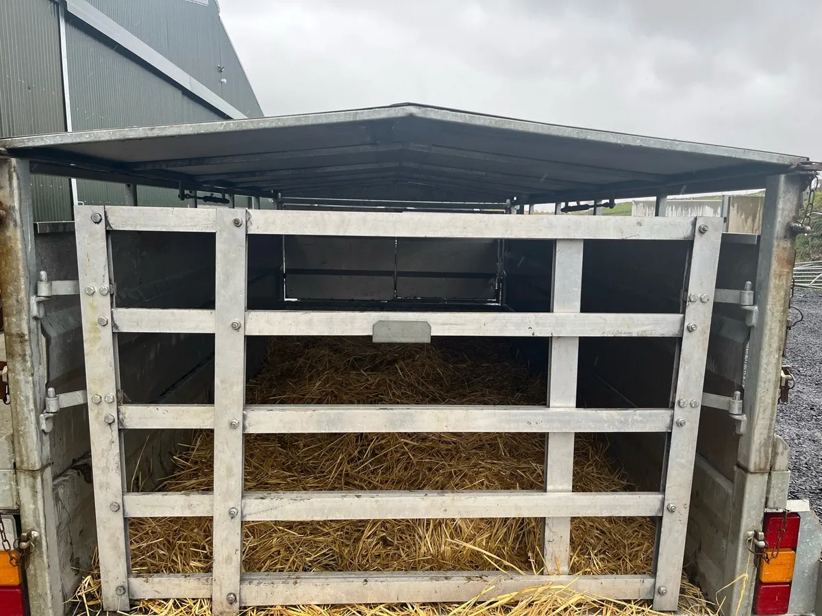 Low roof 10x5 sheep trailer - Image 3