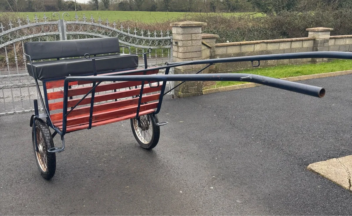 New full size Duhig Road cart - Image 3