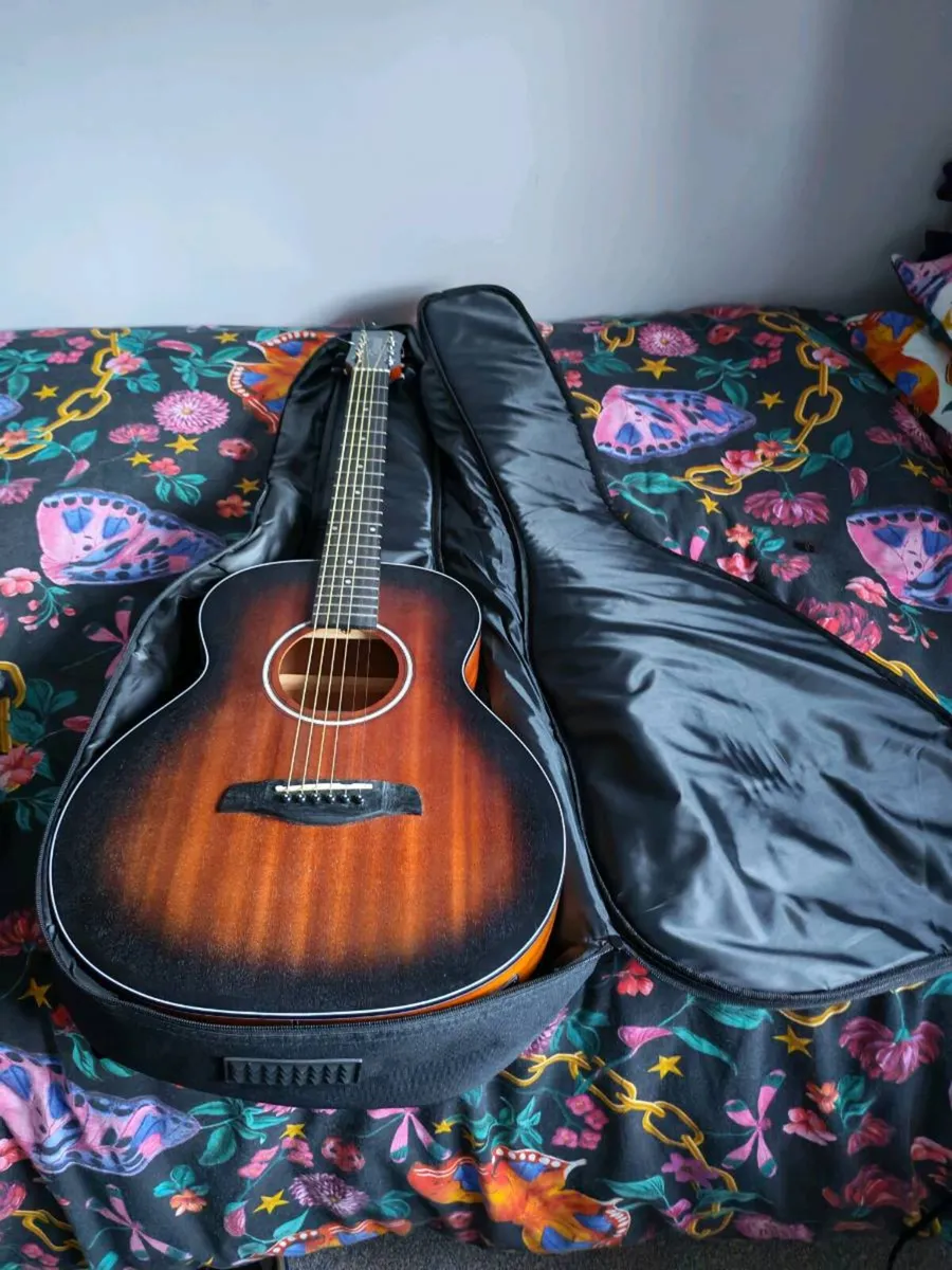 Brunswick guitar - Image 1