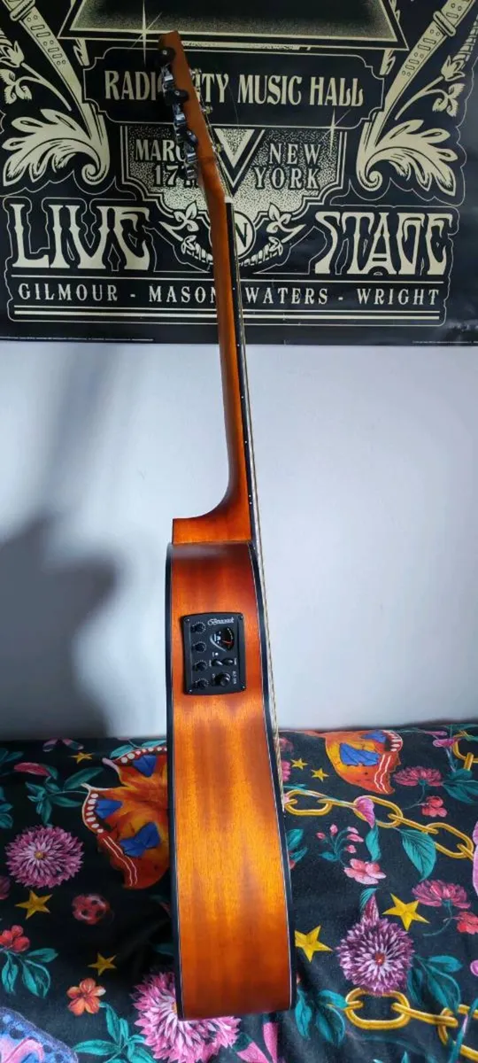 Brunswick guitar - Image 3