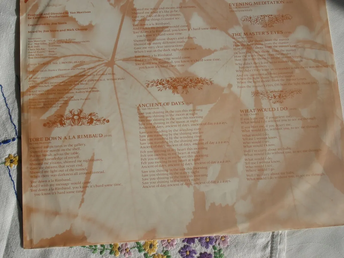 Van Morrison Albums - Image 2