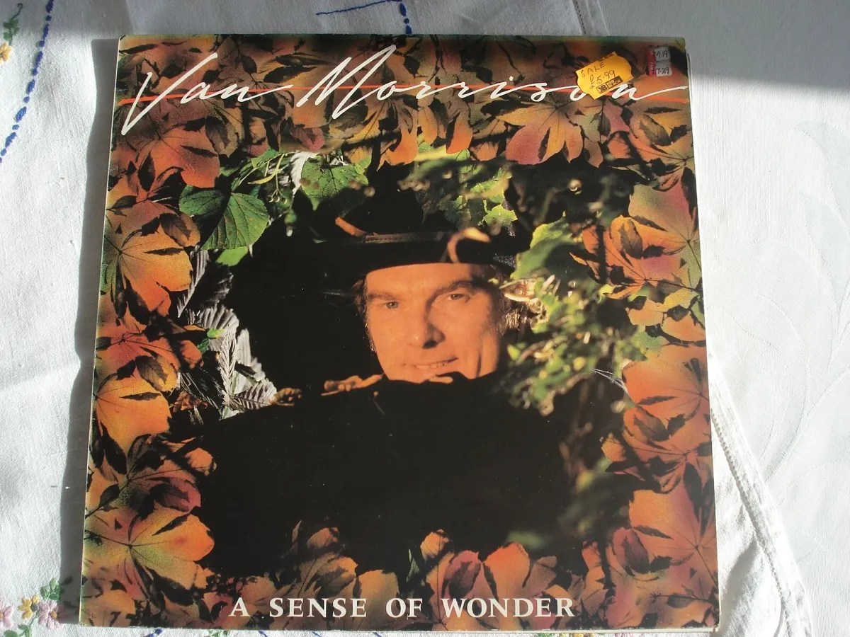 Van Morrison Albums - Image 3