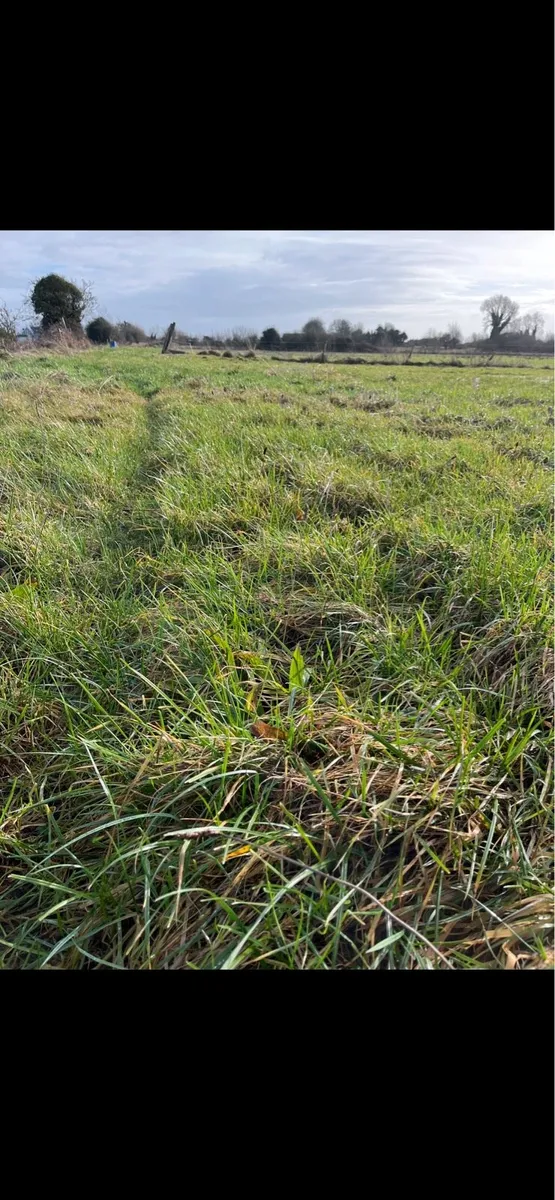 47 Acres to Lease - Image 2