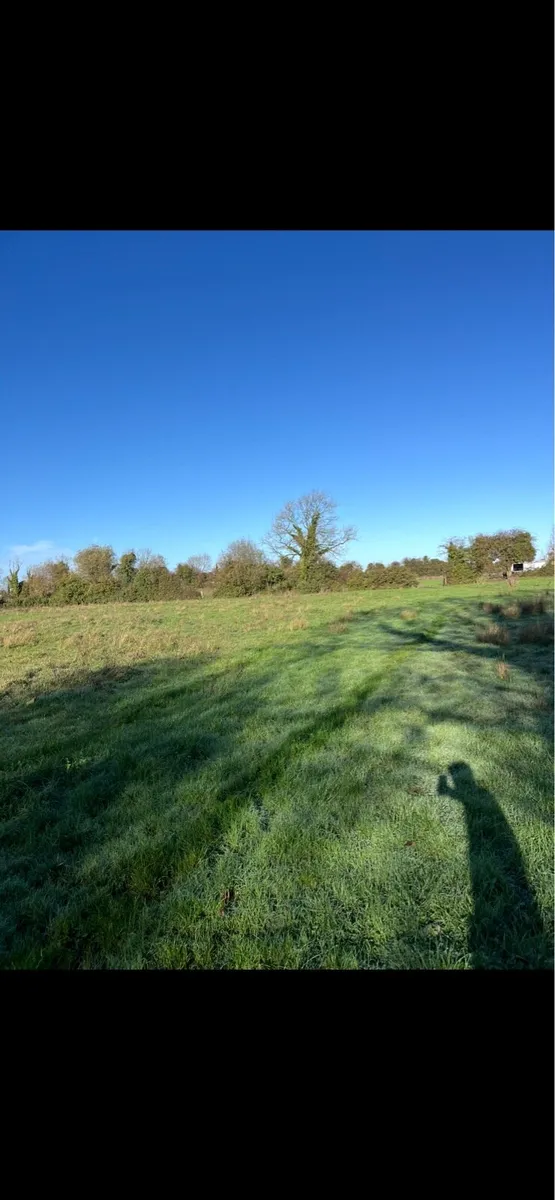 47 Acres to Lease - Image 4