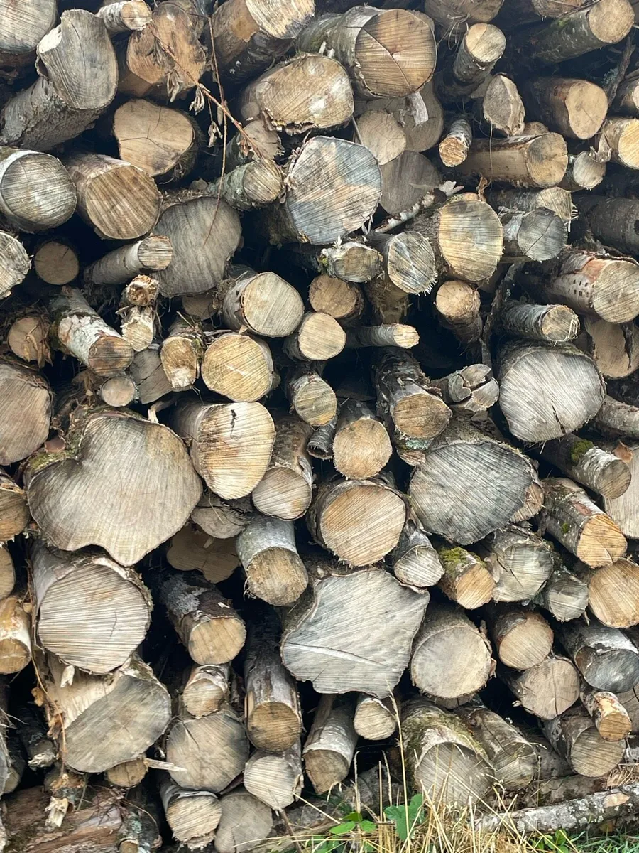 Ash timber - Image 1