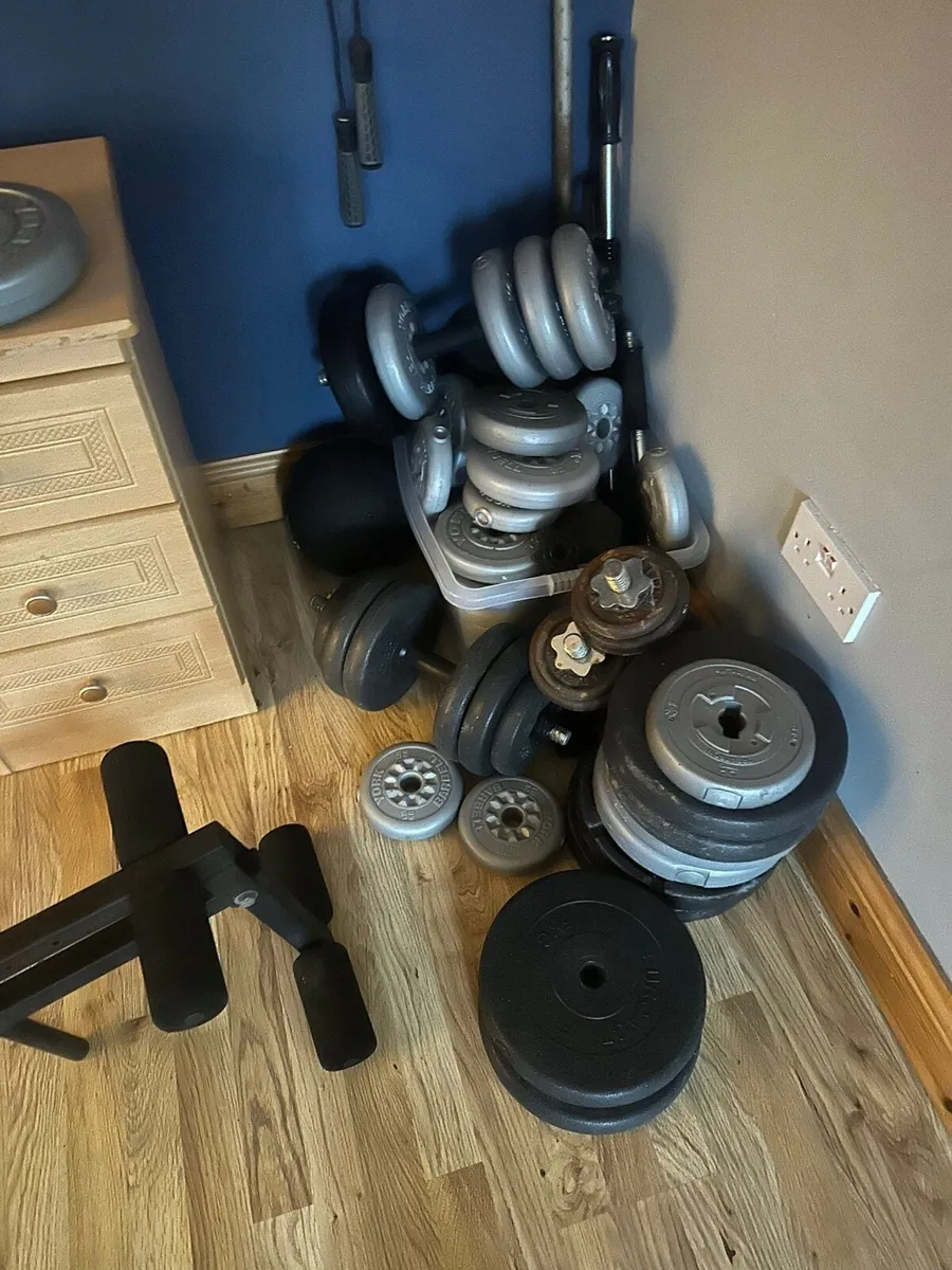 Sports Weights - Image 1
