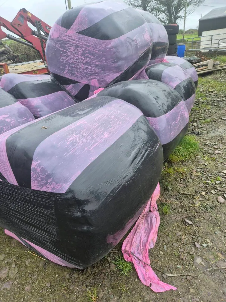 Dry Silage bale's - Image 1