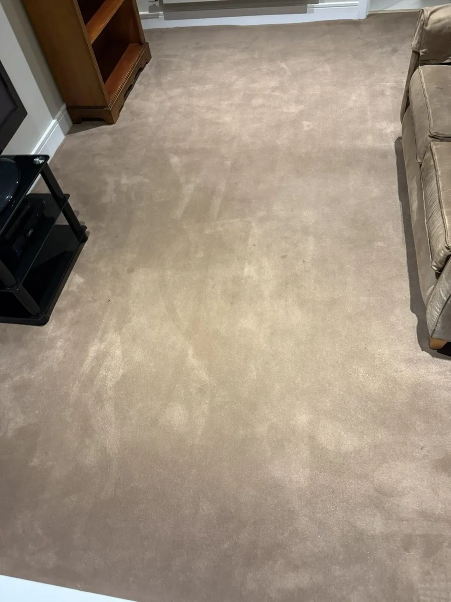 Carpet & underlay - Image 2