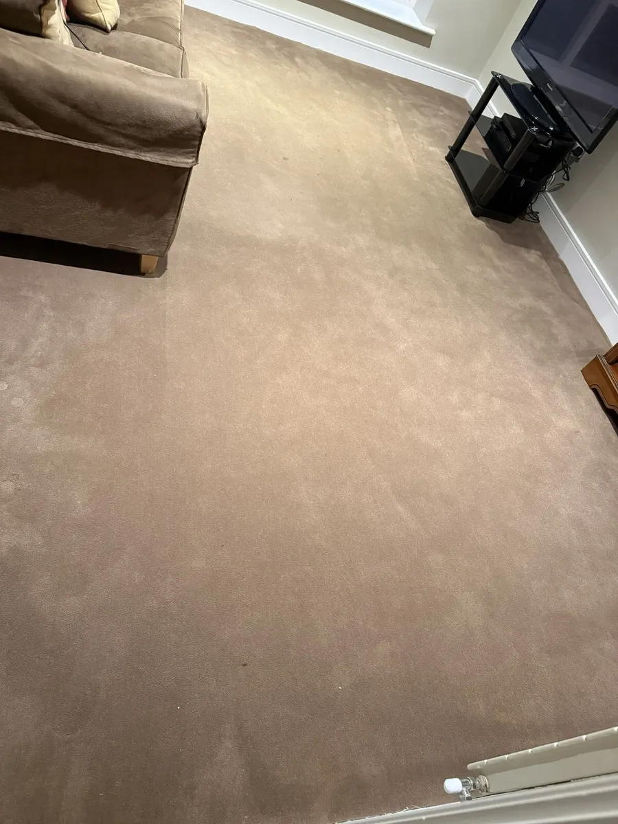 Carpet & underlay - Image 1