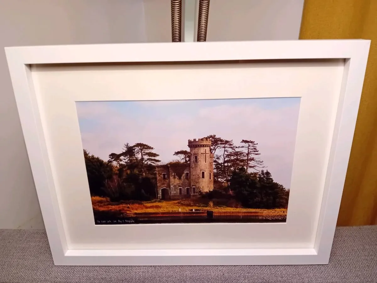 Fota Castle - Image 1