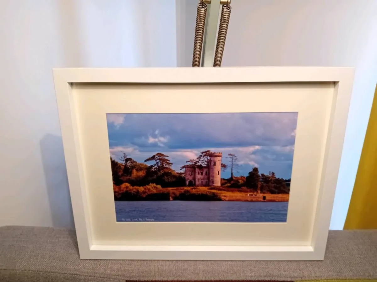 Fota Castle - Image 2