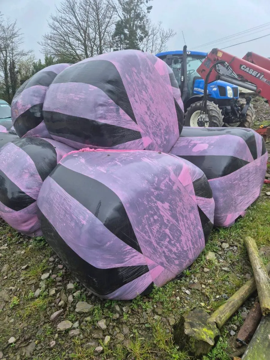 Dry Silage bale's - Image 2