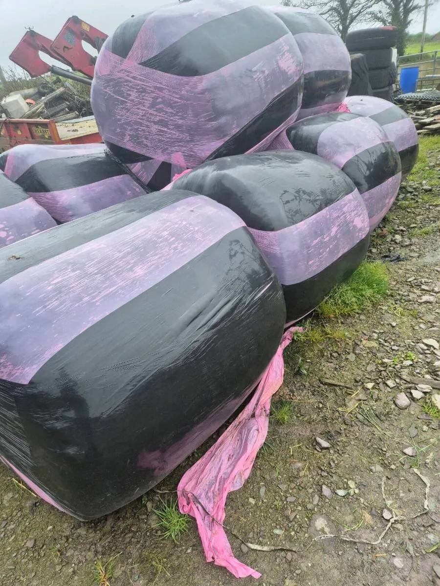 Dry Silage bale's - Image 4