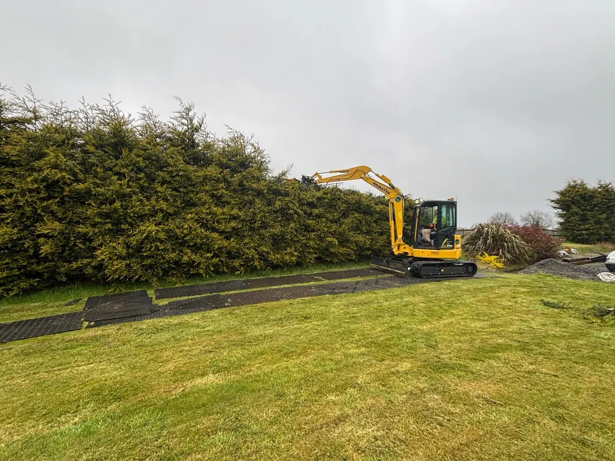 Tree Services - Image 2