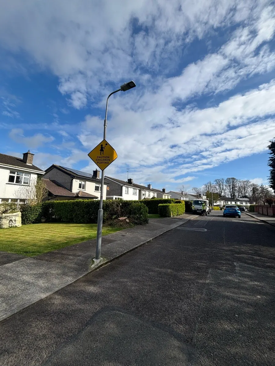 Tree Services - Image 4