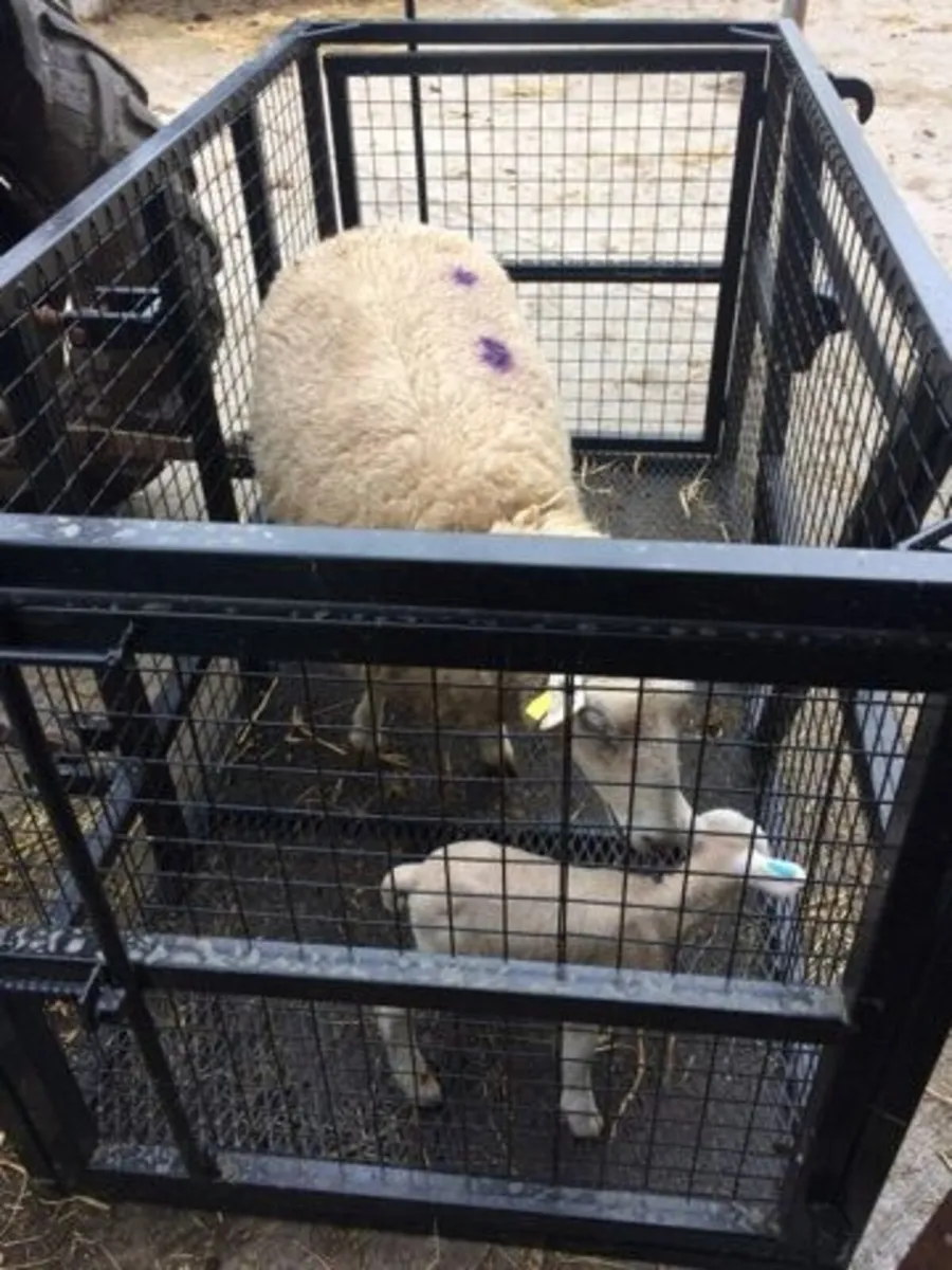 Transport box - Image 2