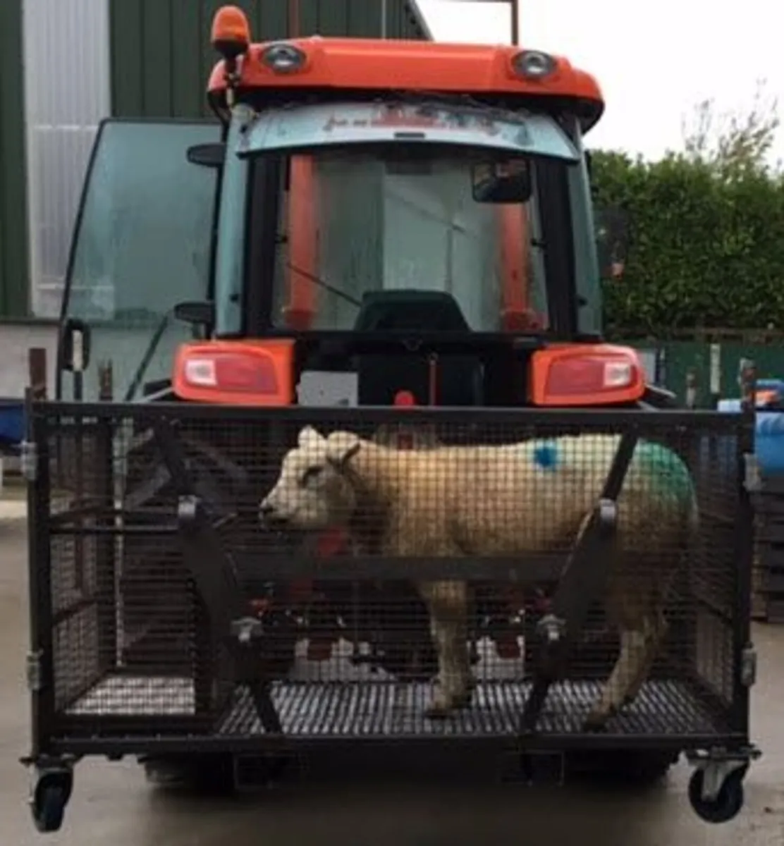 Transport box - Image 3