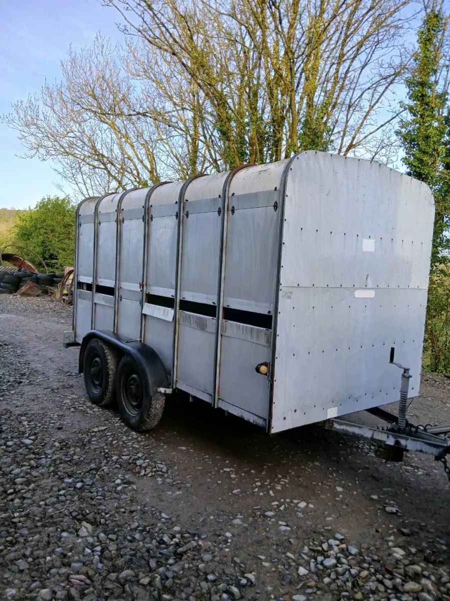 12ft x 6ft  Ifor Williams cattle trailer - Image 1