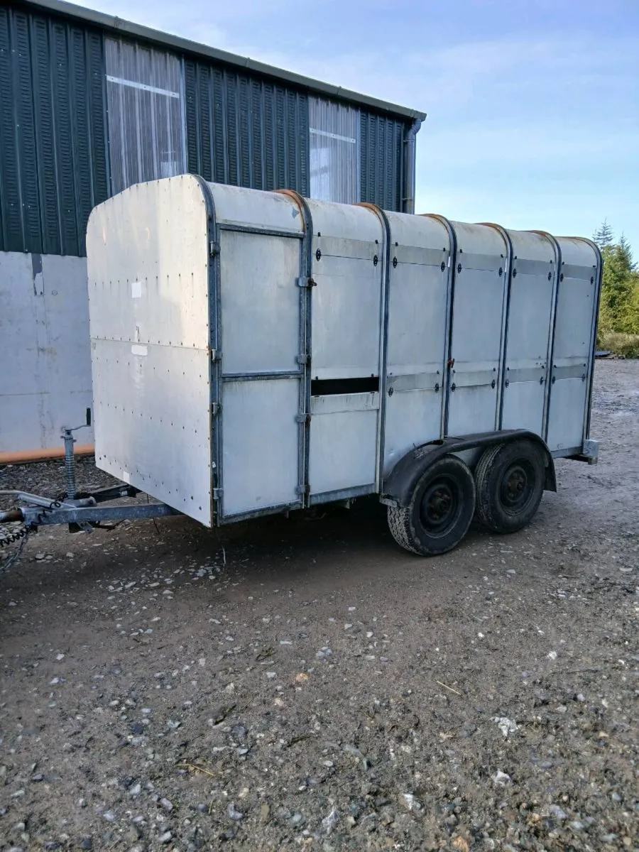12ft x 6ft  Ifor Williams cattle trailer - Image 3