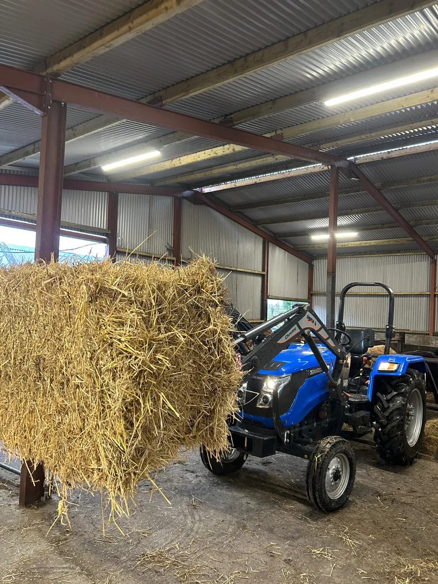 2019 Solis 50 with Sigma Loader - Image 3