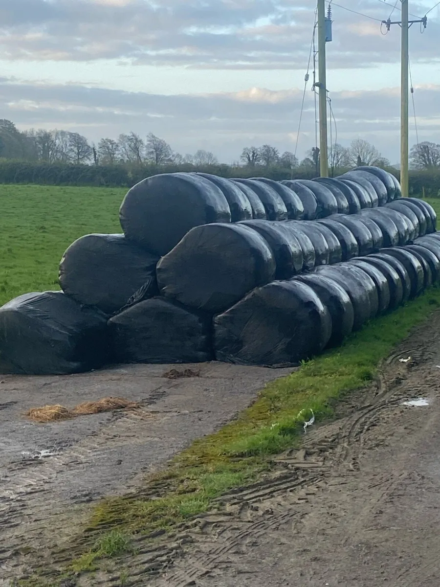 Silage bales