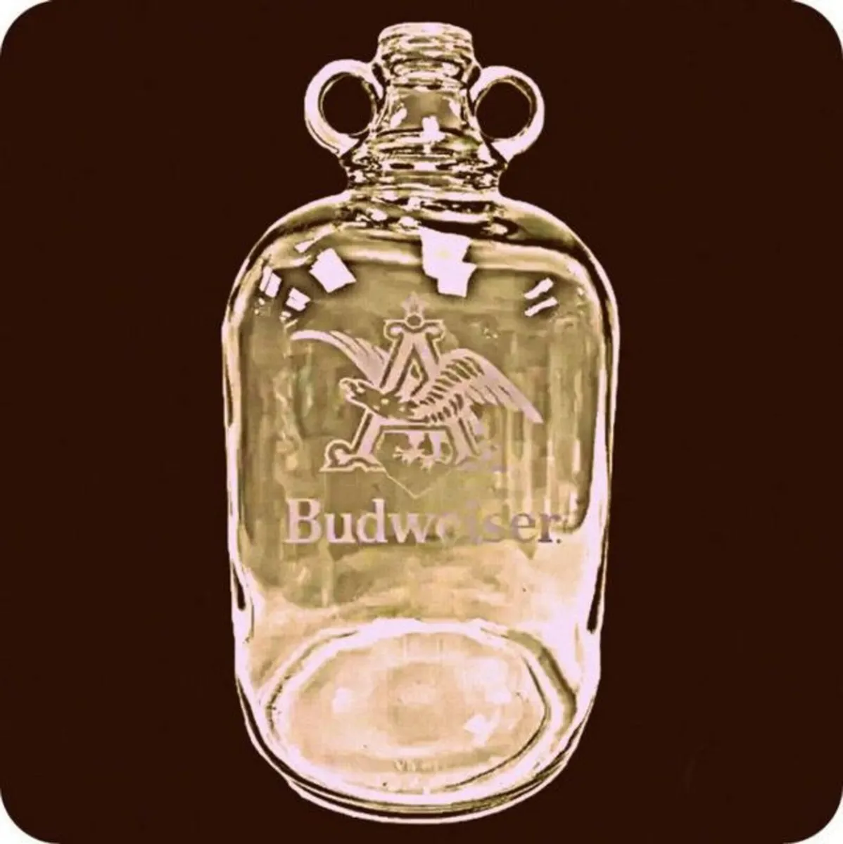 Vintage Branded Demi-Johns - Image 2