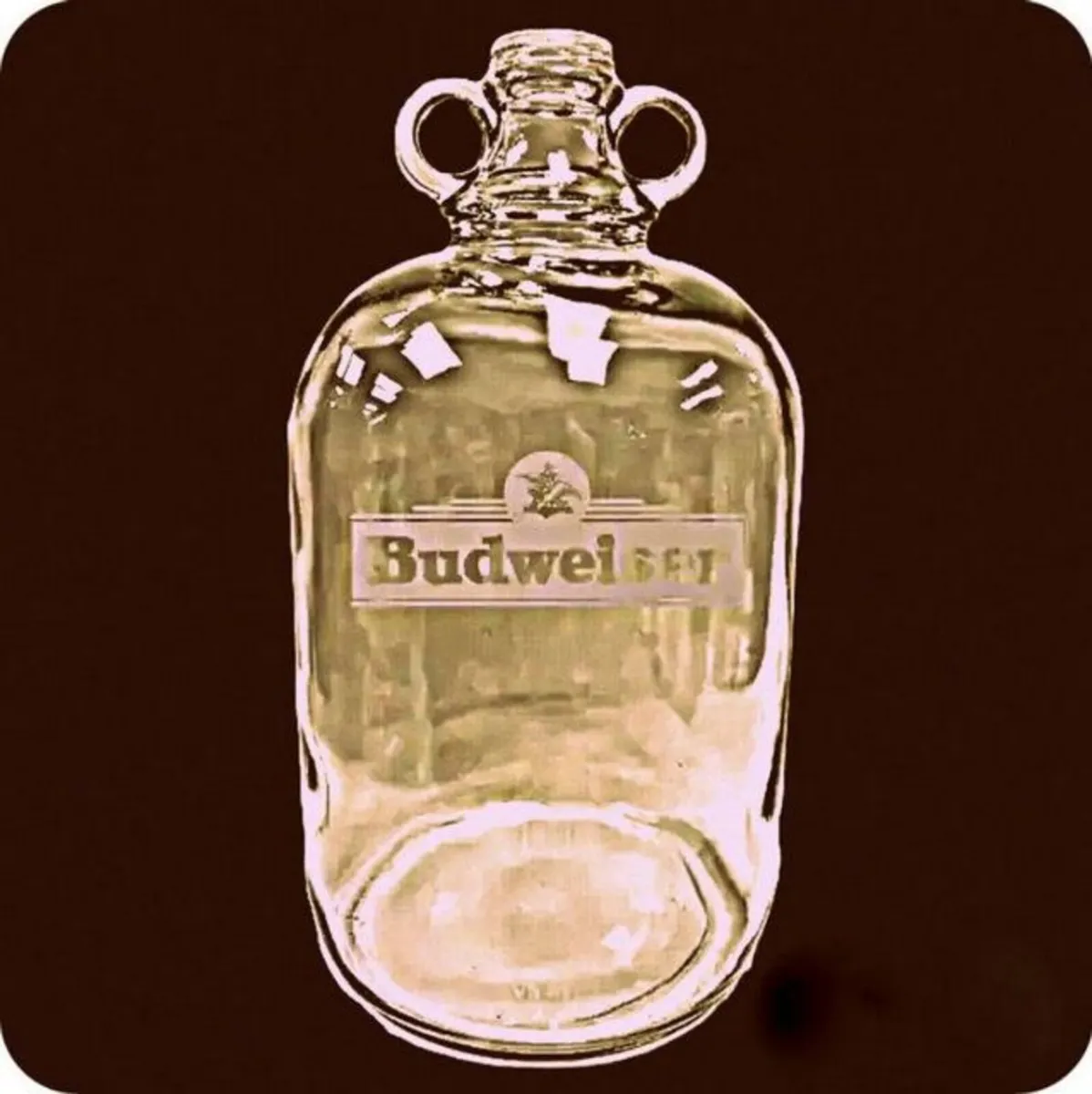 Vintage Branded Demi-Johns - Image 1