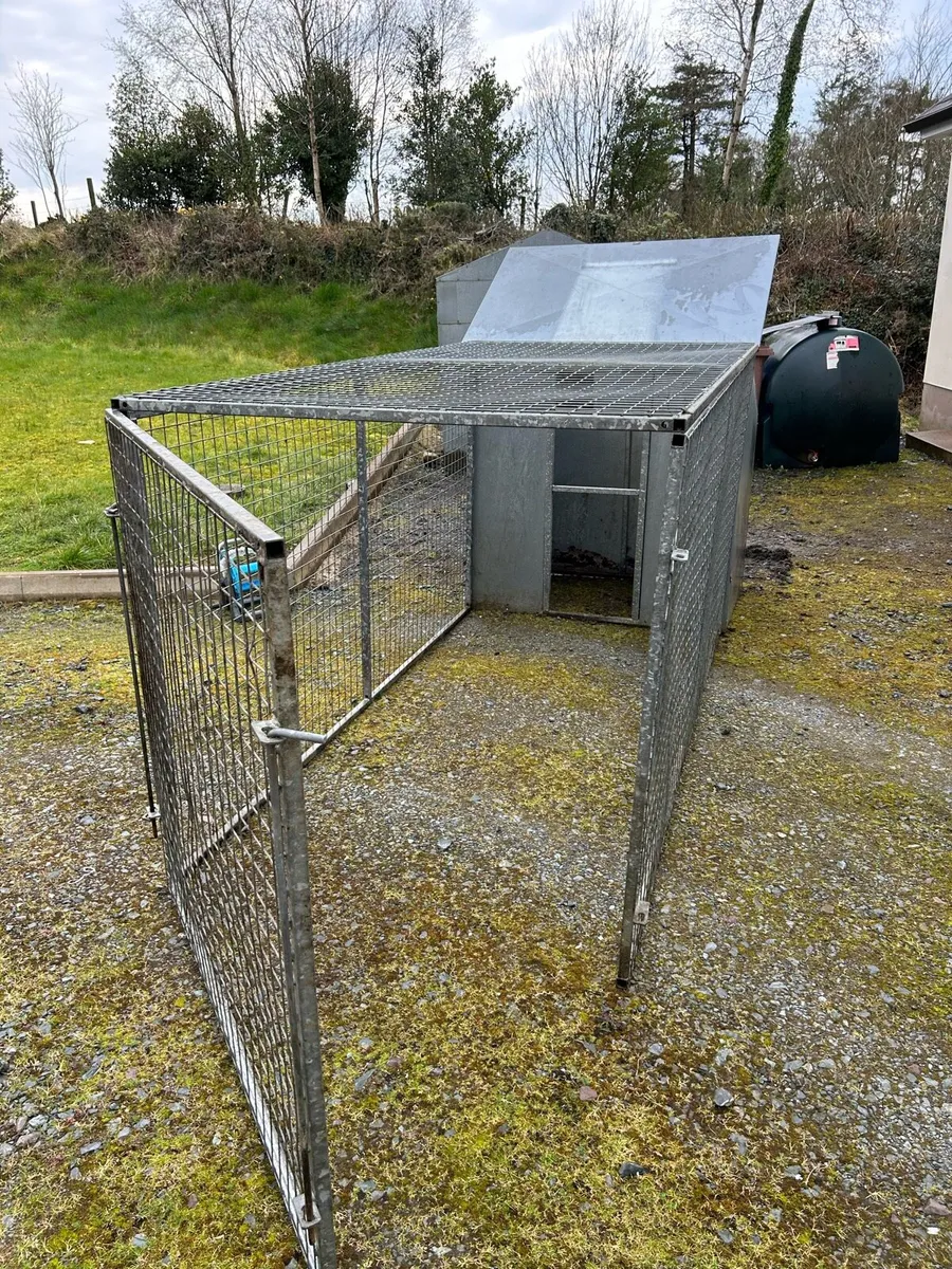 Dog/Hen pen and run - Image 1