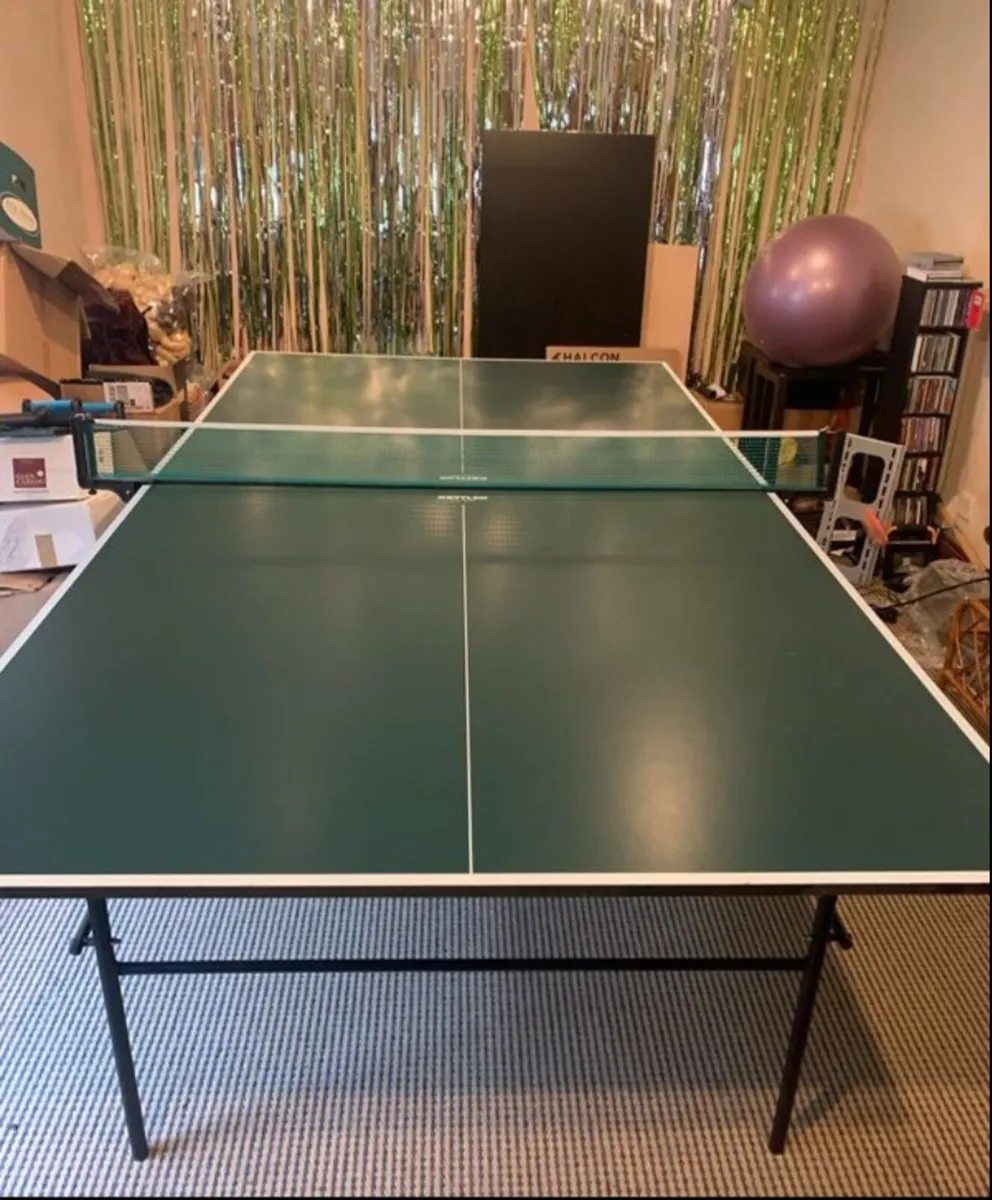 Table Tennis Table - Image 1