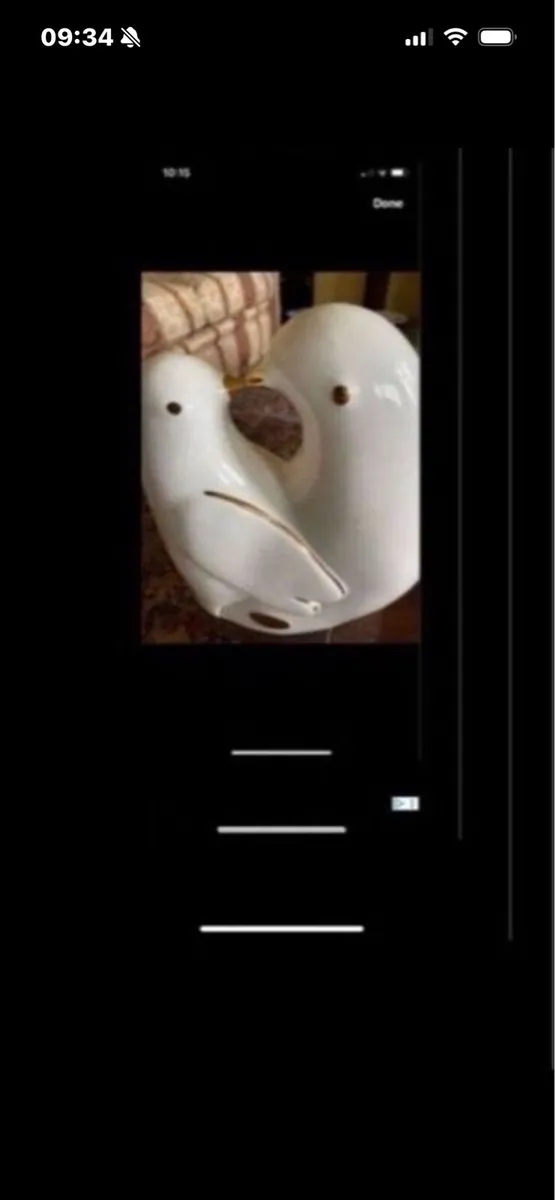 Ceramic Lovebirds - Image 3