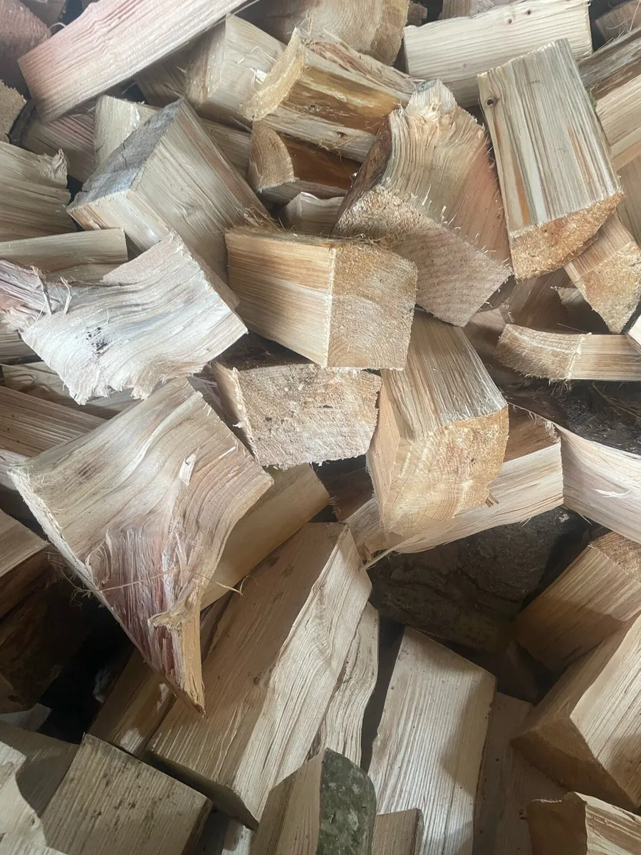 Firewood - Image 3