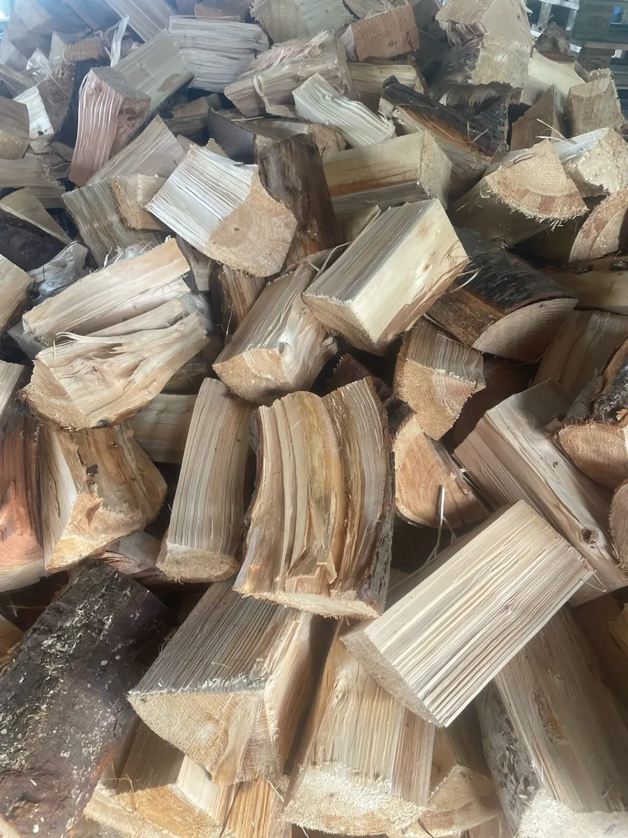 Firewood - Image 4