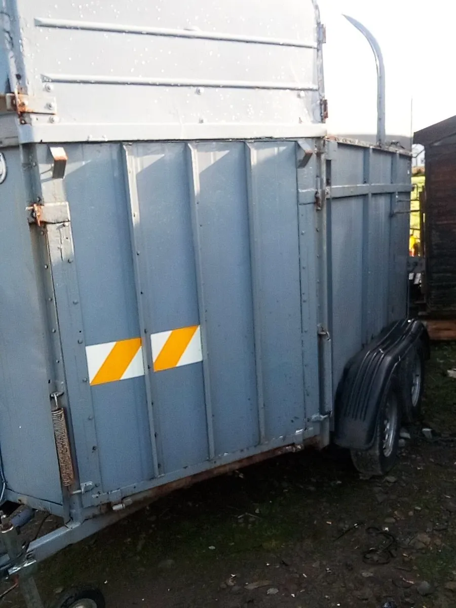 "RICE" twin horse box, very good condition - Image 3