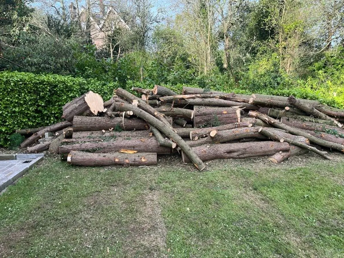 Timber - Image 1