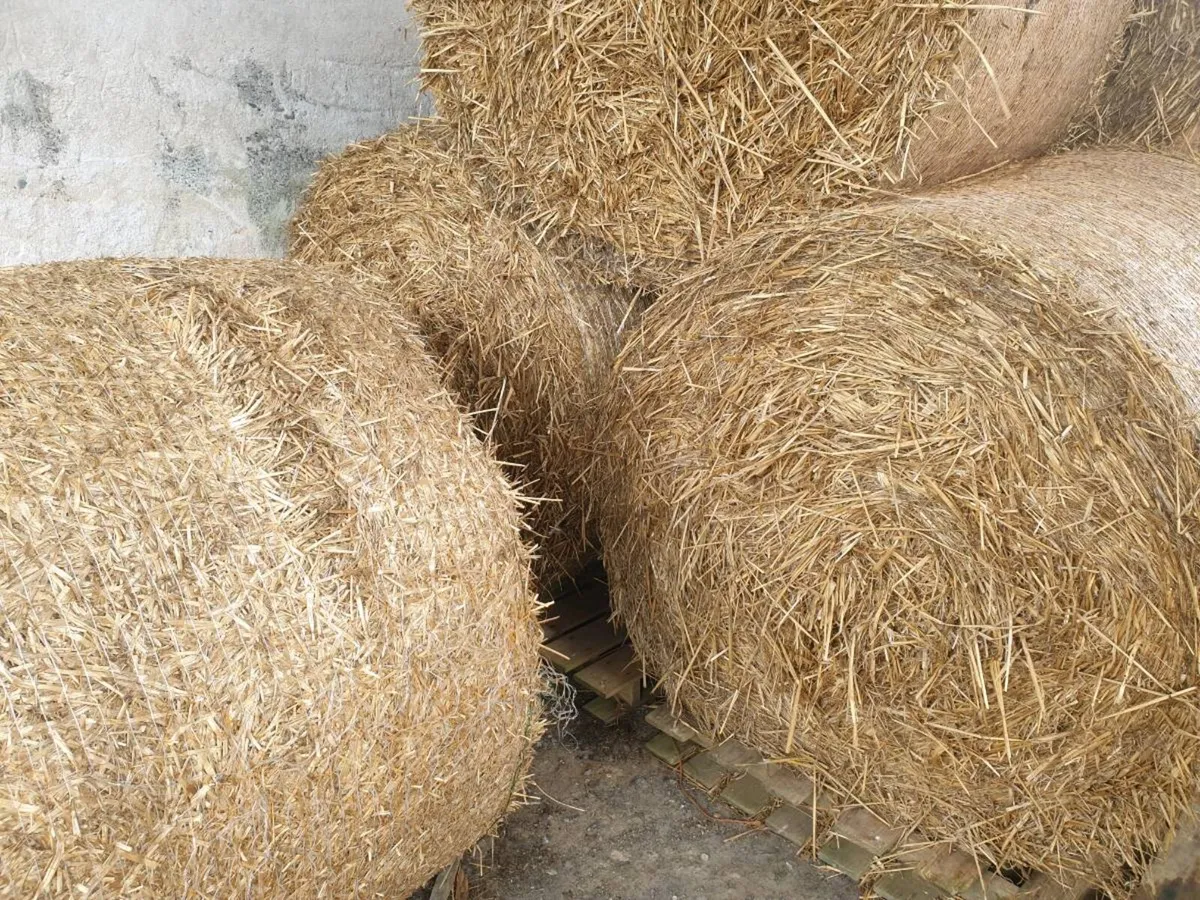 Straw - Image 1