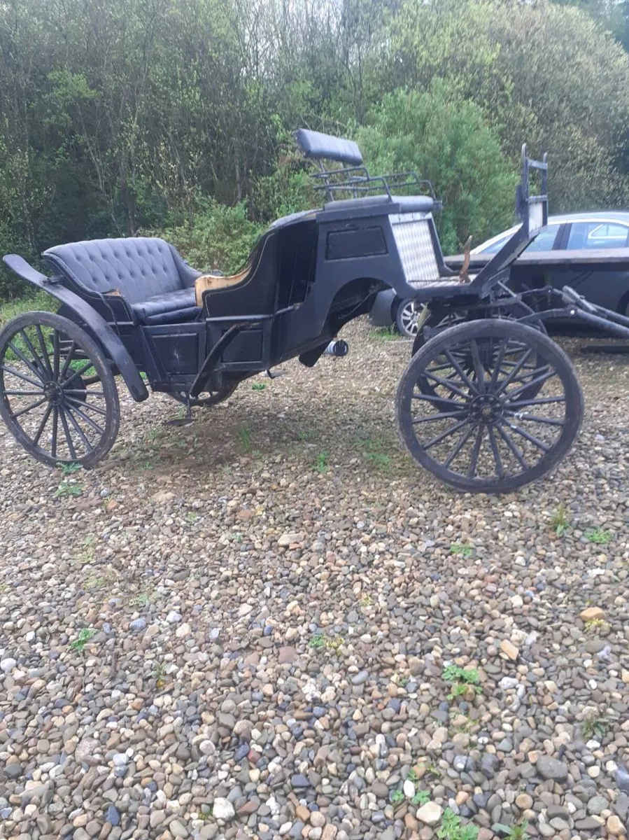 Training cart and carriage - Image 1