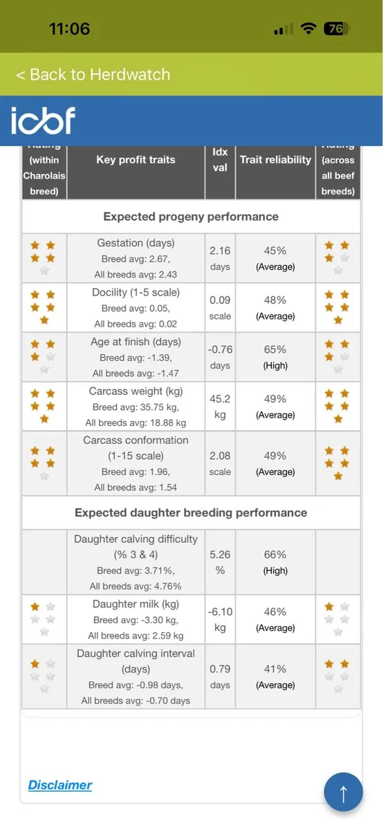 Pedigree Charolais and Angus bulls - Image 4