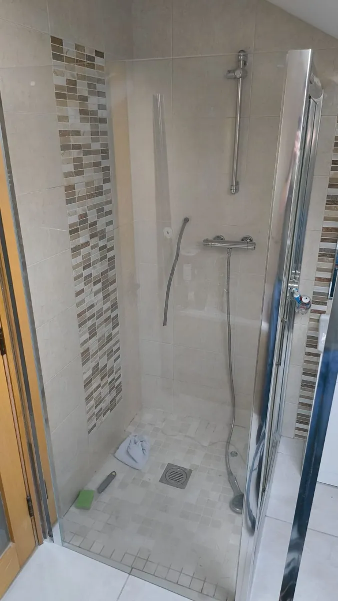Shower Door - Image 3