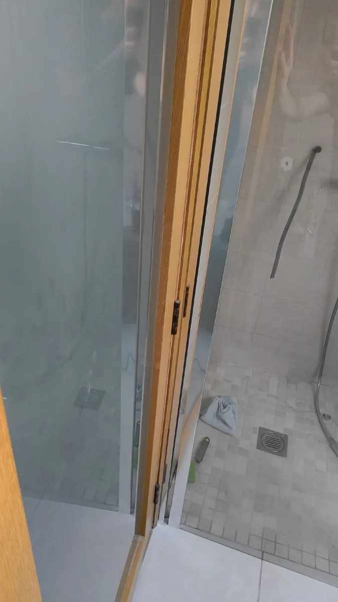 Shower Door - Image 1